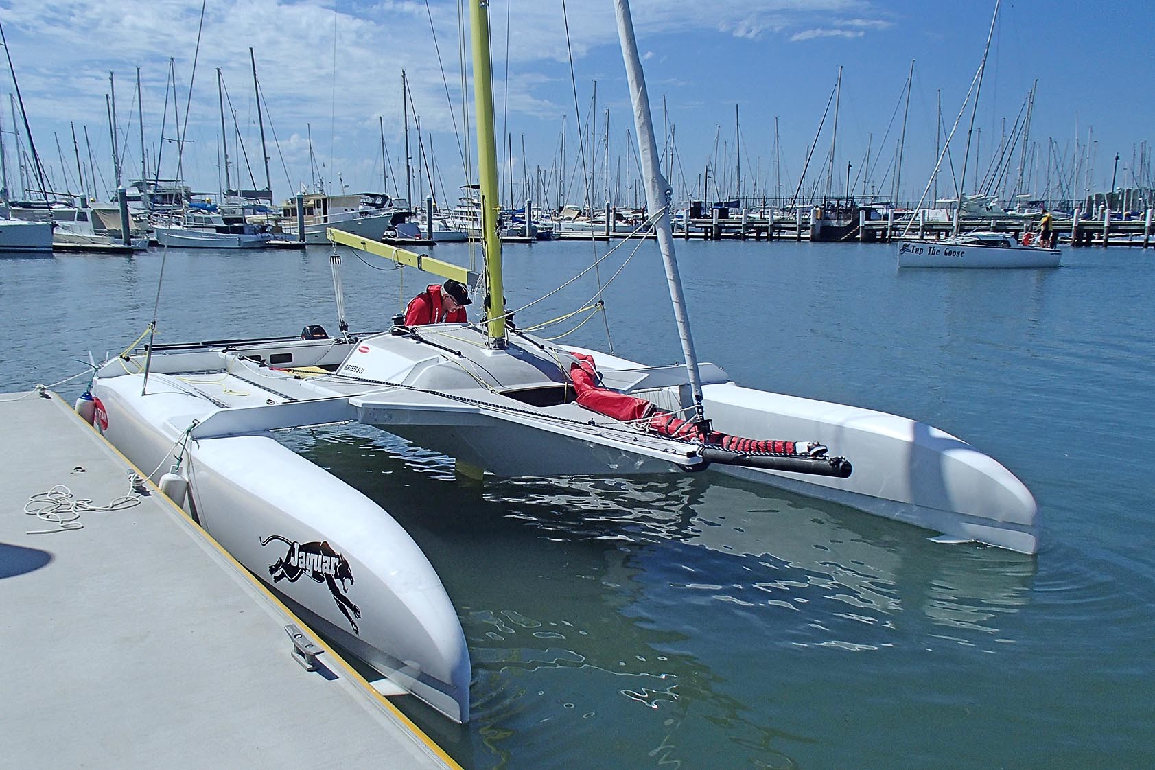 small racing catamarans