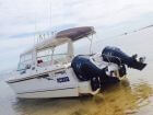 Online Auction - 2002 Powercat 3000 Sports Cabriolet Wild Cat