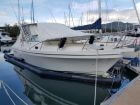 2008 Deep V 310S Express Orion III Including Sea Pen