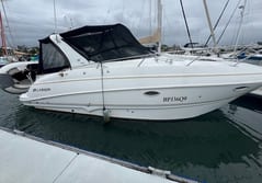 2006 Larson 310 Cabrio