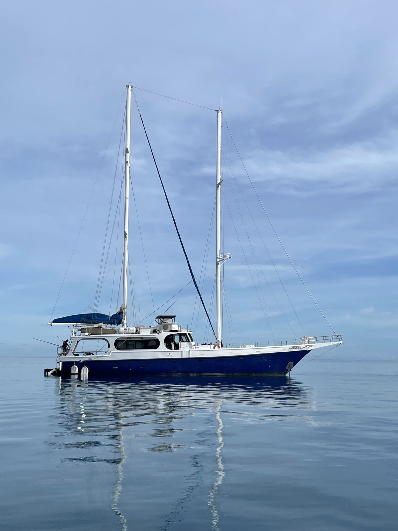 24M Steel Motor Sailor