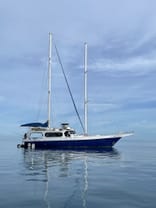 24M Steel Motor Sailor