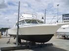 Bertram 25 Flybridge - Needs TLC