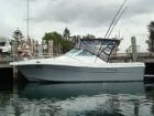 2009 30FT Blackwatch 28 Express