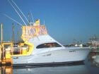 2008 LUHRS 35 Demonstrator Flybridge