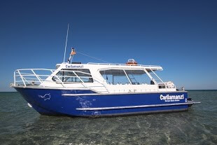 1999 Dive Vessel in Survey